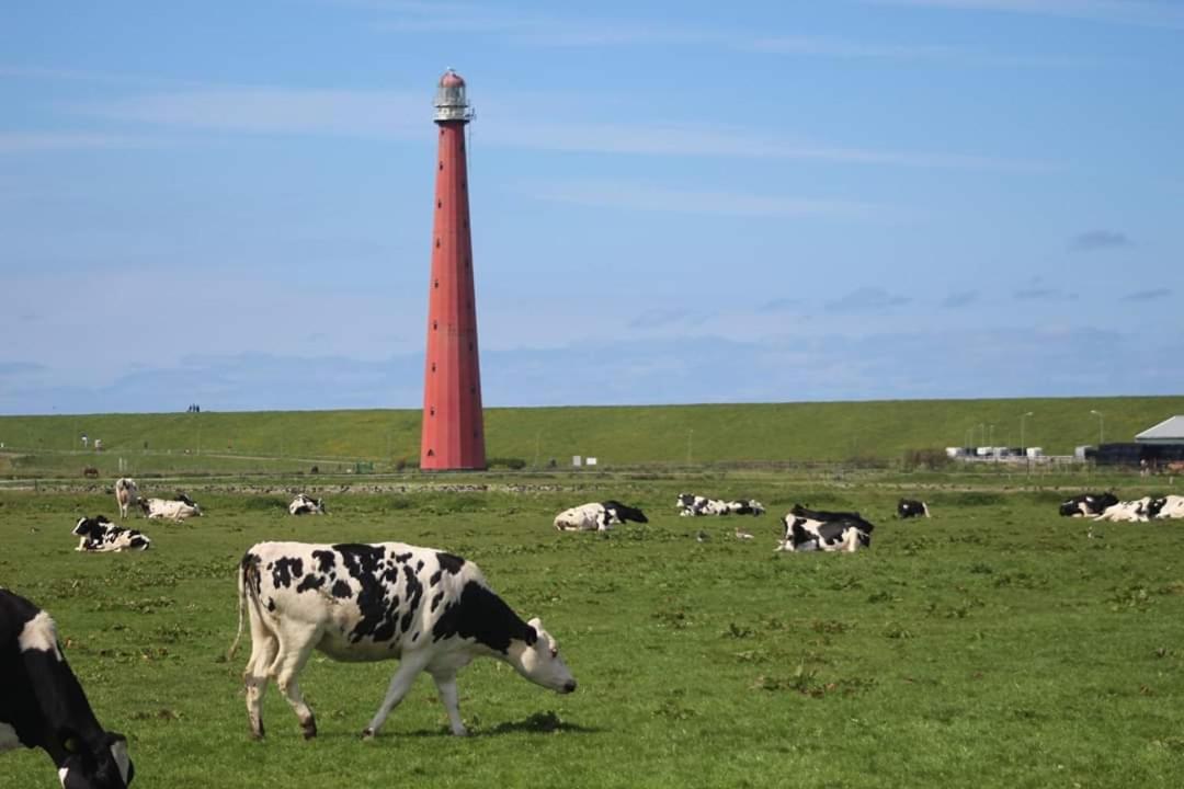 Overnachten Onder De Lange Jaap Den Helder Ngoại thất bức ảnh