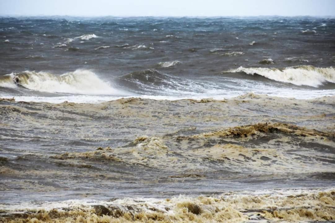 Overnachten Onder De Lange Jaap Den Helder Ngoại thất bức ảnh